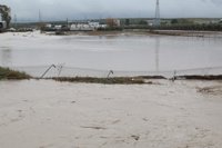 Restablecido el tráfico ferroviario entre Arahal y El Sorbito (Sevilla), cortado en la tarde de este viernes