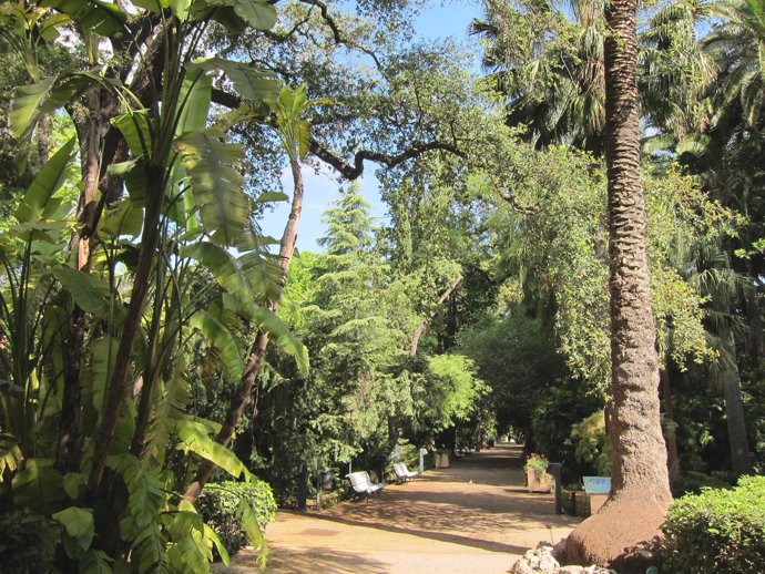 Jardín Botánico De Valencia