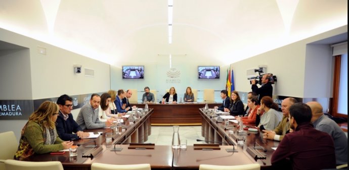 Comisión de Investigación sobre empresas públicas