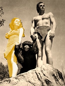 Muestra 'Jo Jane, tú Tarzán'