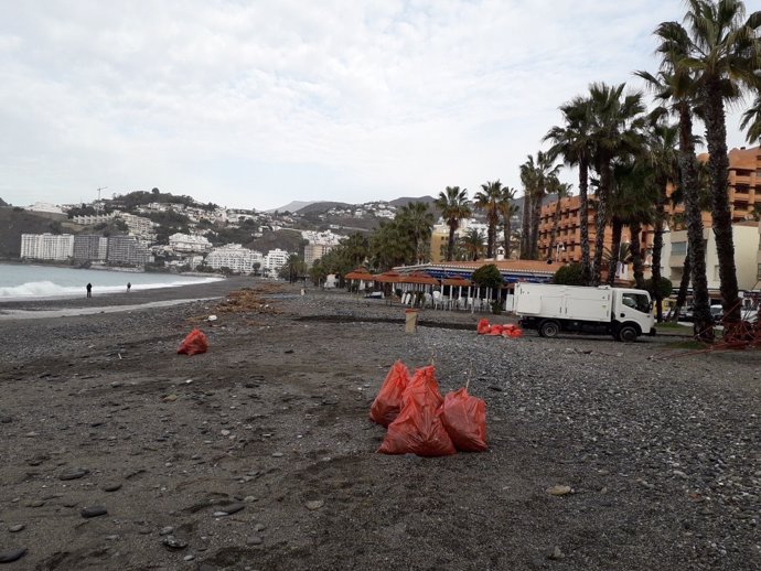 Limpian playas en Almuñécar (Granada)