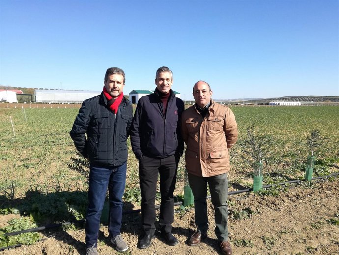 La Diputación conoce las técnicas agrícolas de la empresa Econatur
