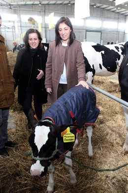 Ángeles Vázquez, conselleira do Medio Rural