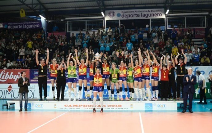 Minis de Arluy VB Logroño, campeón de la XLIII Copa de SM La Reina