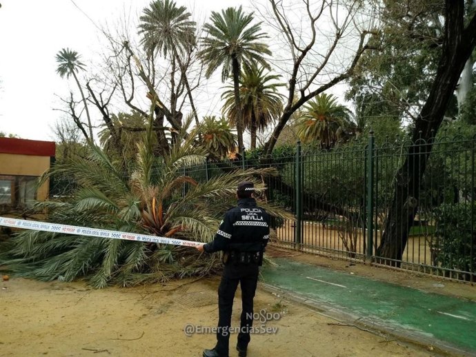 Policía acordona la zona tras una incidencia a causa del temporal