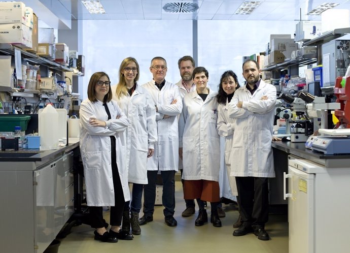 Investigadores
