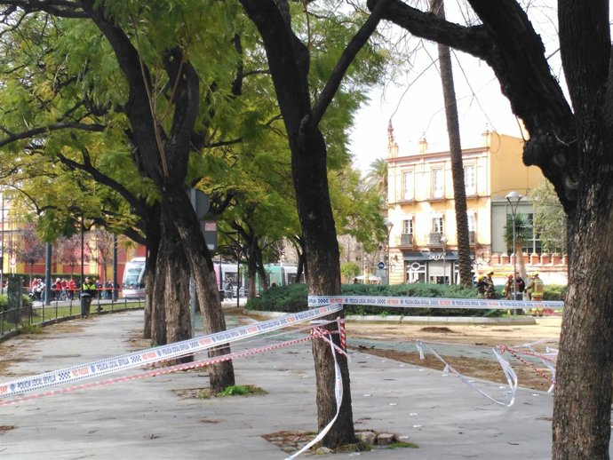 Actuaciones de los Bomberos ante el temporal junto a la calle San Fernando