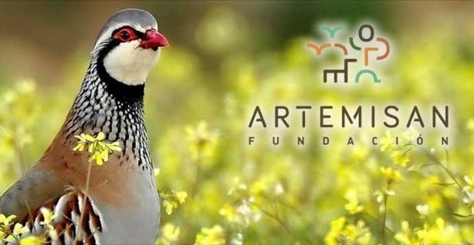 Perdiz roja silvestre, Fundación Artemisan