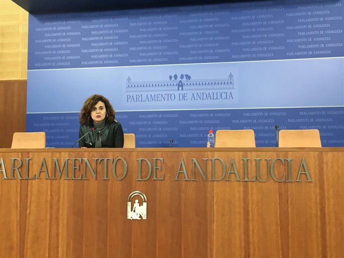 La portavoz adjunta del grupo parlamentario de Podemos Esperanza Gómez