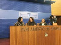 PP-A: Susana Díaz ha "cerrado la puerta" de la FP a 142.000 jóvenes desde que es presidenta