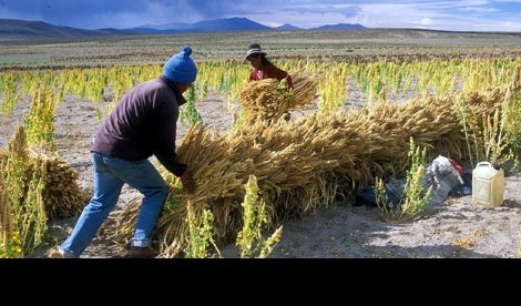 Cooperación y Desarrollo