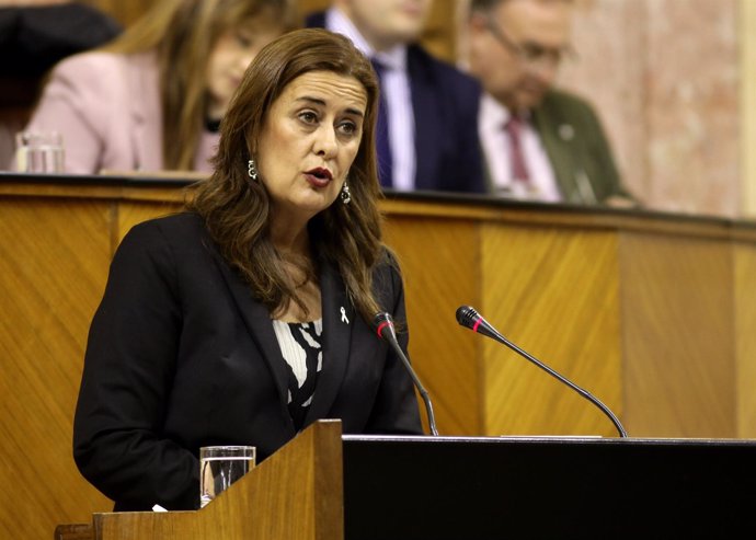 Sonia Gaya presenta al Pleno el proyecto de Ley de FP ed Andalucía