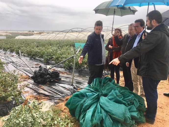 Manuel Andrés González visita una explotación agrícola. 