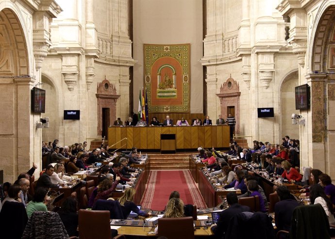 El Pleno durante la votación 
