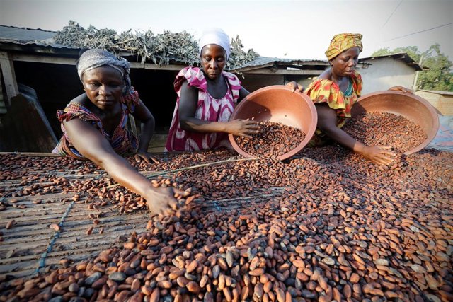Mujeres con semillas de cacao en un mercado de Niable, Costa de Marfil. 
