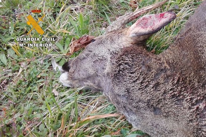 Rdo. Nota De Prensa Guardia Civil (Localizado El Presunto Autor De La Muerte De 