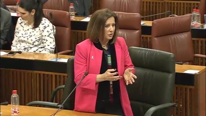 María José Sánchez Rubio en el Pleno del Parlamento
