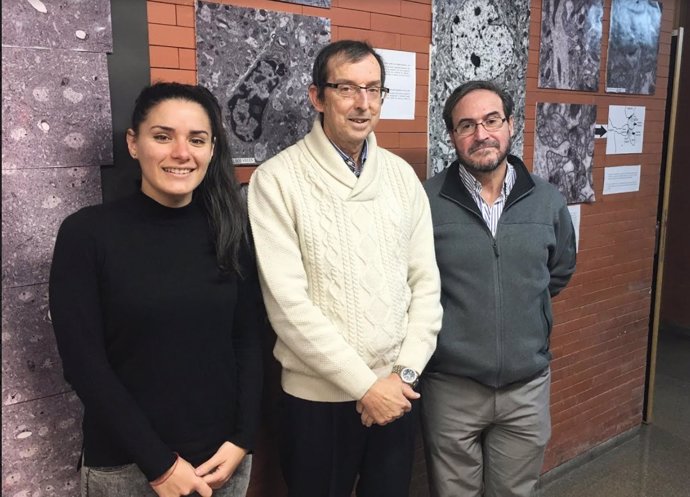 El profesor García Verdugo y otros dos investigadores