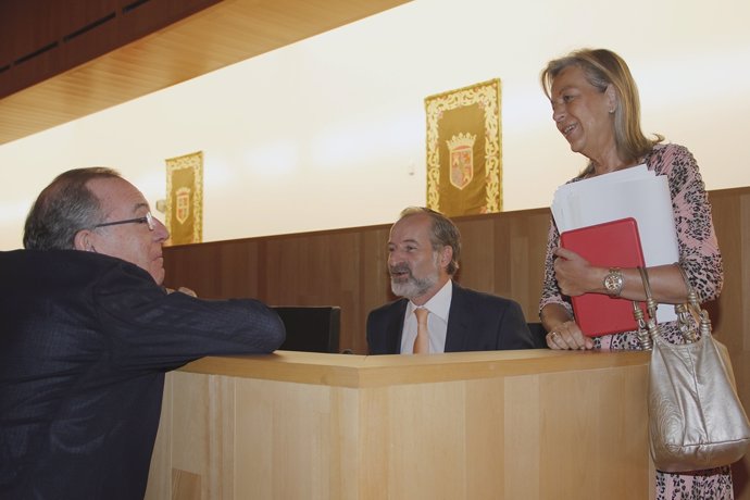 Pleno diputación Sichar Ciudadanos Cs con Caracuel PP y Delgado Bonilla charla