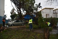La primera estimación de los daños del temporal en San Roque (Cádiz) supera los dos millones de euros