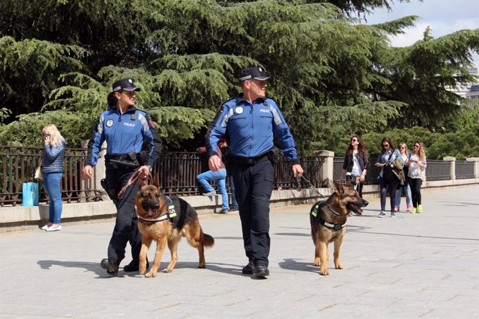 Agentes de la sección canina de Policía Municipal de Madrid