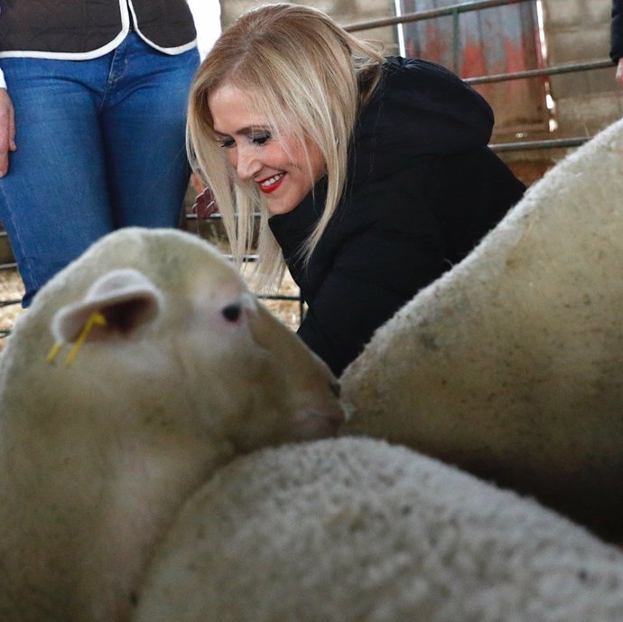 Nota Y Fotos: Cifuentes Pone En Valor El Papel De La Mujer Emprendedora En El En