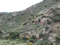 El operativo de búsqueda de Gabriel mantiene 106 profesionales sobre el terreno y continúa por aire