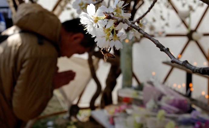 Japón acto conmemorativo del terremoto de 2011 (marzo 2018)