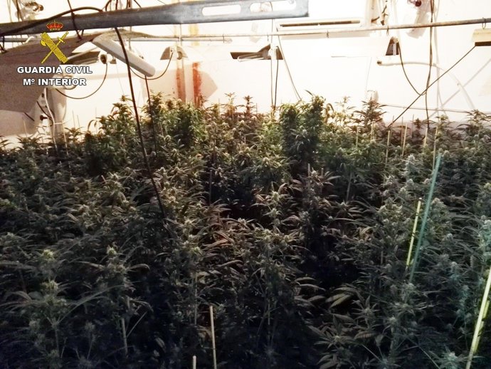 Notas Prensa. Guardiacivil