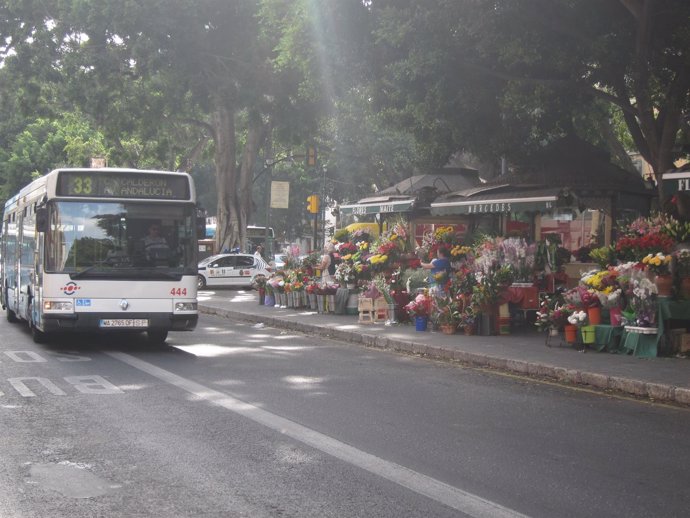 Bus, flores, alameda princial, autobús, emt