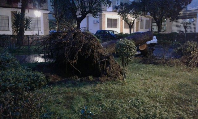 Incidente por el temporal