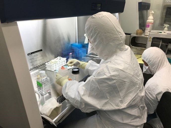 Terapia celular en el Hospital Regional de Málaga 