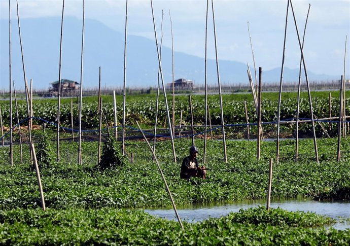 Foto de archivo de un pescador en Filipinas.