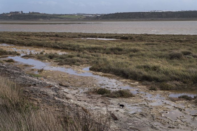 Denuncian vertidos a la Ría de Huelva procedentes de fosfoyesos de Fertiberia