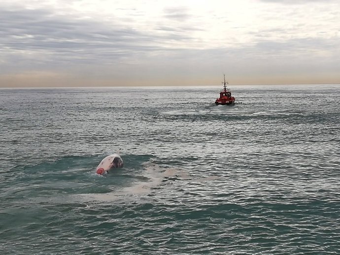 Barco retira la ballena muerta de la playa de Montgat