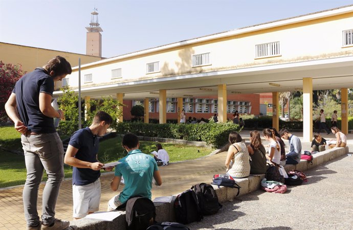 Alumnos estudian para Selectividad en la UPO