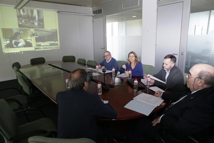 Oria participa por videoconferencia en el Consejo Consultivo