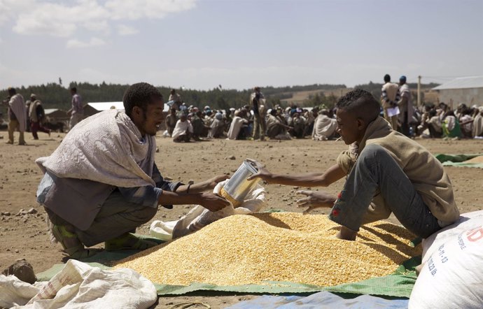 Un agricultor recibe cereal en una distribución de emergencia en Etiopía