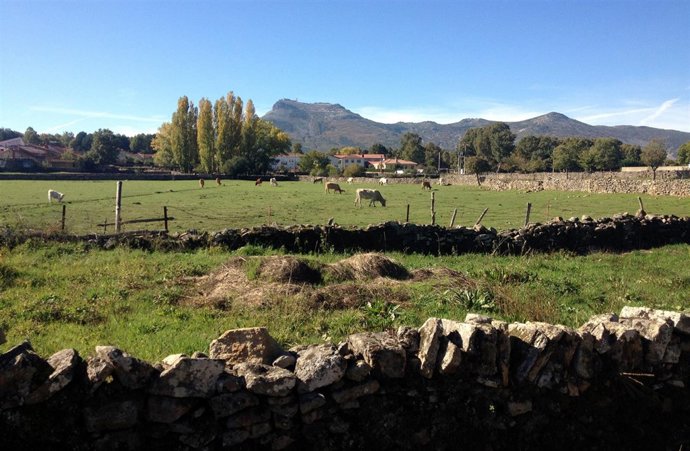 SALAMANCA. Peña de Francia