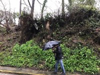El viento alcanza los 144 km/h en Carballeda de Valdeorras y las lluvias dejan 70 l/m2 en Santa Comba