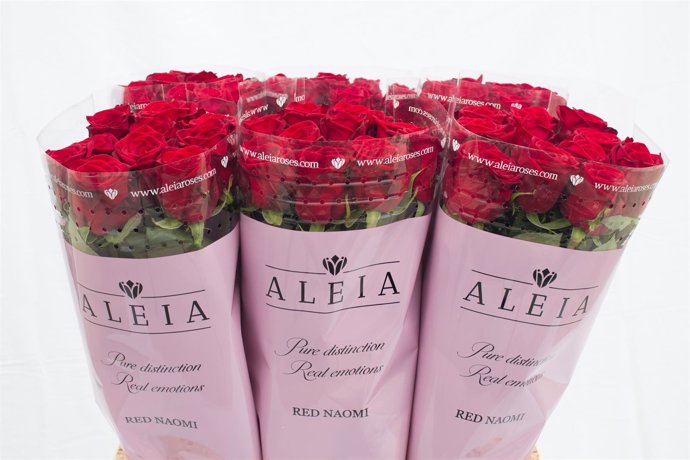 Aleia Roses 