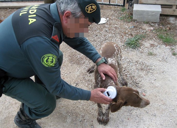 Un agente de la Guardia Civil posa con el perro recuperado