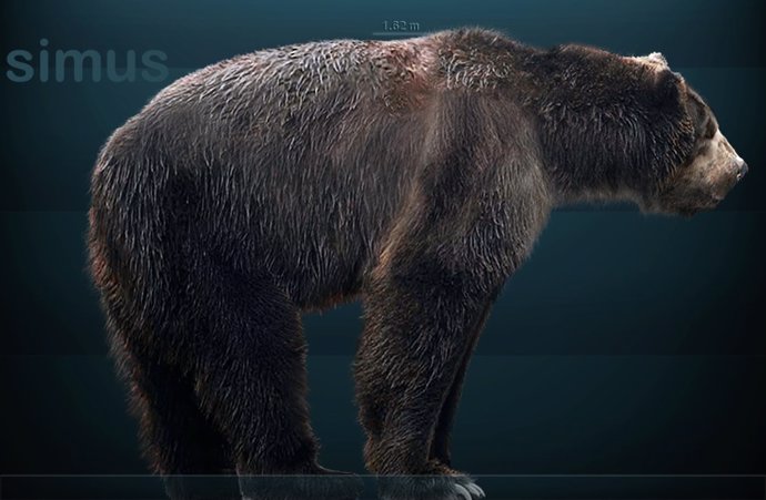 Reconstrucción del oso de cara corta