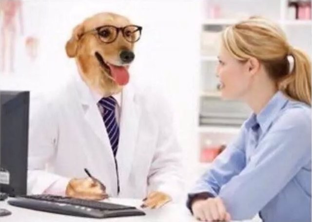Doctor Perro