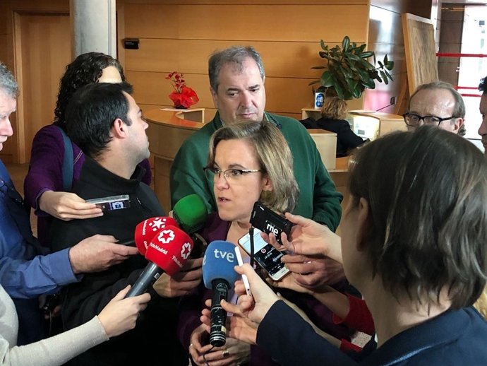 La portavoz del PSOE en el Ayuntamiento de Madrid, Purificación Causapié