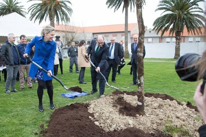 Plantación de retoño del Árbol de Gernika en Hospital de Bermeo