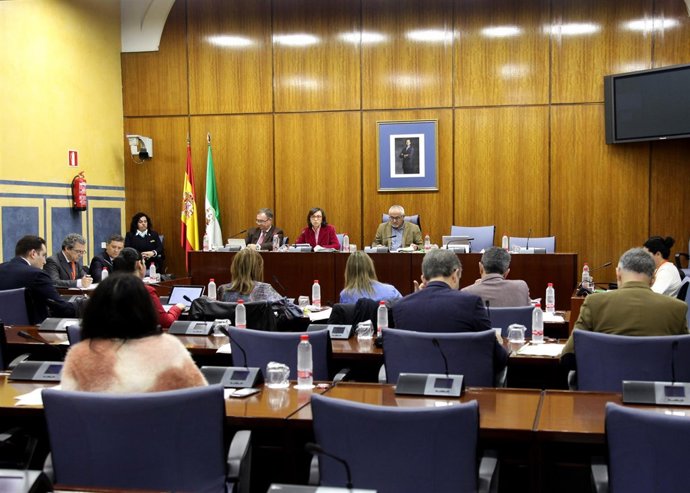 Comisión de Justicia en el Parlamento