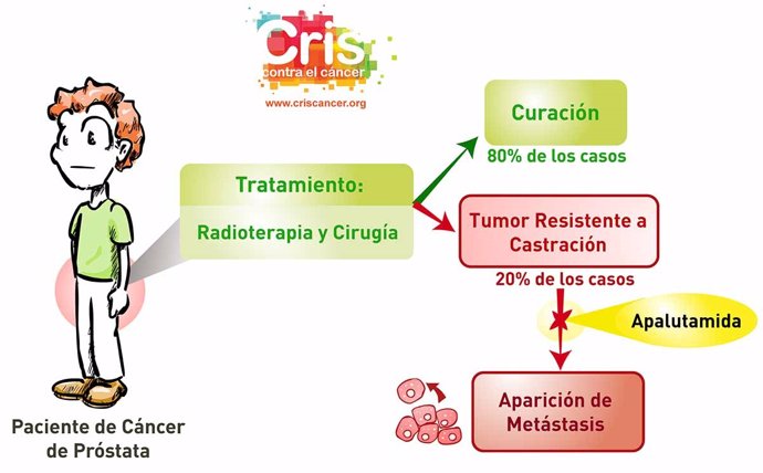 CRIS contra el cáncer