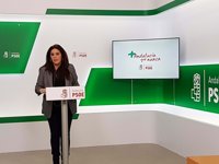 PSOE-A comparte "plenamente informe de reforma de Ley Electoral, que no debe estar subordinada a estrategia partidista"