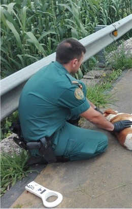 Investigan a un vecino de Mondariz por la muerte de un perro de un vecino